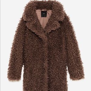 Zara Teddy Coat